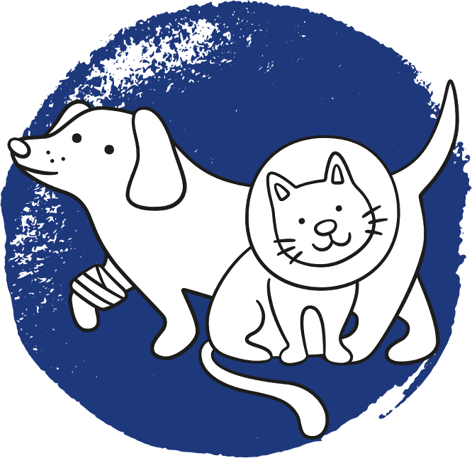Appointment Pets Blue Appointment Pets Blue